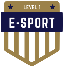 Badge Level 1