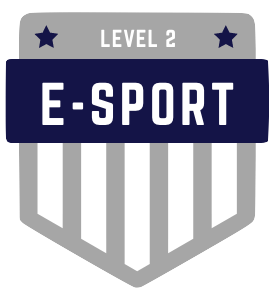 Badge Level 2