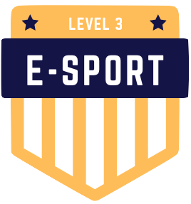 Badge Level 3